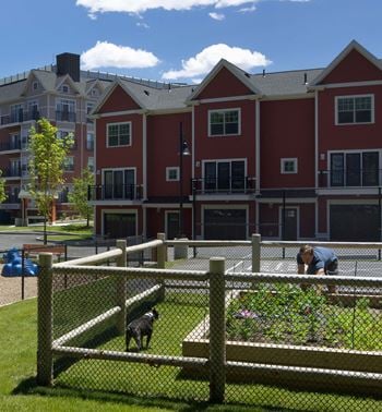 Community gardening plots